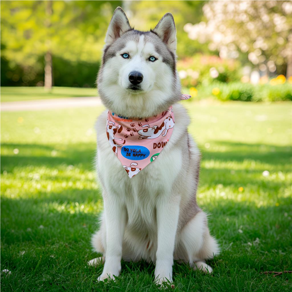 Pre-Production Sample Hoppla Bosco Large Polyester Dog Bandana